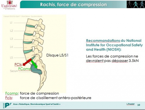 Fig. 9 : © Laetitia Fradet