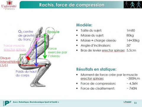 Fig. 10 : © Laetitia Fradet