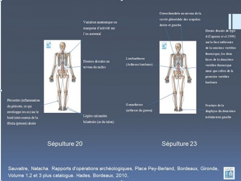 Fig. 14 : © Thierry Grégor