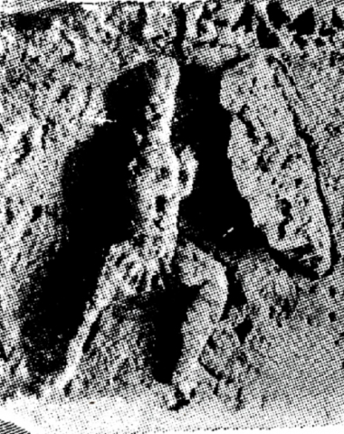 Fig. 2 : Frise de la façade est de l’arc d’Orange (19-27 ap. J.-C.), Orange © Émile ESPERANDIEU, Recueil général des bas-reliefs de la Gaule romaine. Alpes Maritimes, Alpes Cottiennes, Corse, Narbonnaise, Paris, Impr. Nationale 1907, p. 203