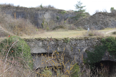 Fig. 6 : Vienne (86), Montamisé, carrière d’Ensoulesse © Héloïse Dupin