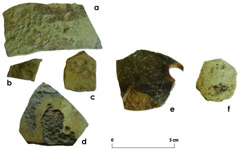 Fig. 6 : Tessons céramiques provenant de la zone artisanale de l’Incoronata : a-d, quatre tessons à la surface « martelée » ; e, un probable essai de cuisson, et f, un tesson redécoupé de façon circulaire (Photo : C. BELLAMY)