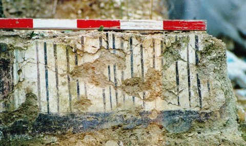 Fig. 2 : Peinture murale gallo-romaine découverte in situ. Site de « Deilly » à Villeperrot (Yonne), Cité des Sénons. Fin du Ier siècle