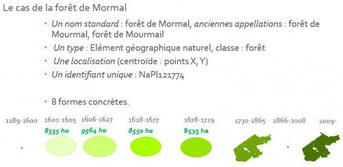 Fig. 5 : Formes concrètes de la forêt de Mormal