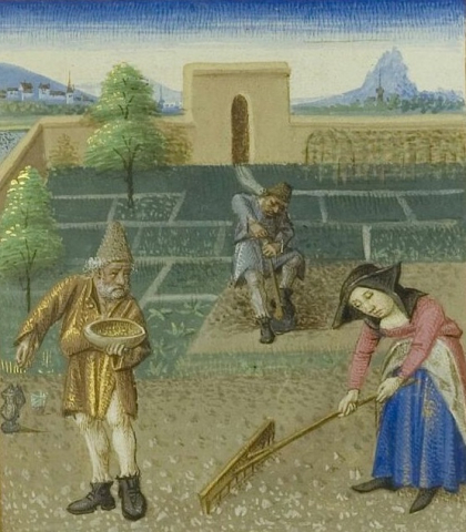 Fig. 20 : Pierre de Crescens, Rusticans, fol. 155r : jardinage, Anjou, vers 1459, Chantilly, Musée Condé, ms. 0340 © Initiale IRHT