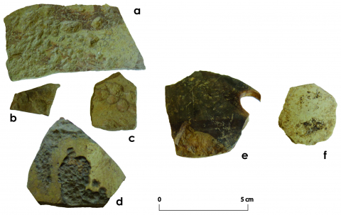 Fig. 6 : Tessons céramiques provenant de la zone artisanale de l’Incoronata : a-d, quatre tessons à la surface « martelée » ; e, un probable essai de cuisson, et f, un tesson redécoupé de façon circulaire (Photo : C. BELLAMY)