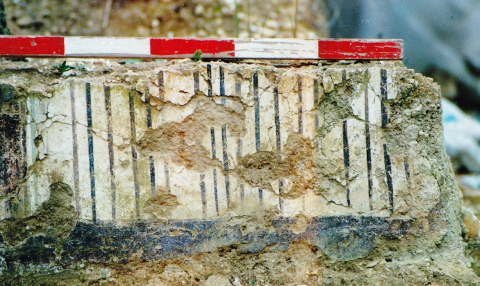 Fig. 2 : Peinture murale gallo-romaine découverte in situ. Site de « Deilly » à Villeperrot (Yonne), Cité des Sénons. Fin du Ier siècle