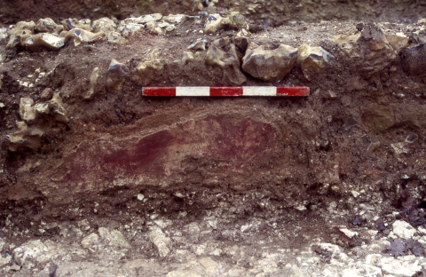 Fig. 4 : Enduit peint technique rouge découvert in situ. Site de « Deilly » à Villeperrot (Yonne), Cité des Sénons. Fin du Ier siècle
