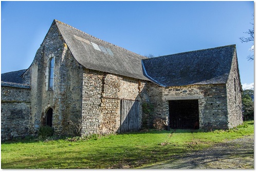 Image 10000000000001F40000014F5D6CE864832D965C.jpg