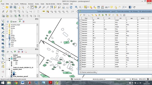 Image 10000000000001F400000119E24AA3DAC0BA6351.jpg